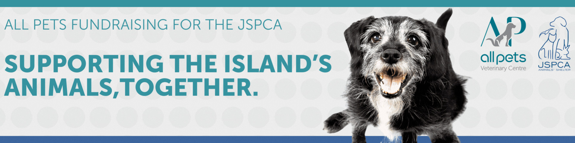 All Pets Veterinary Centre 